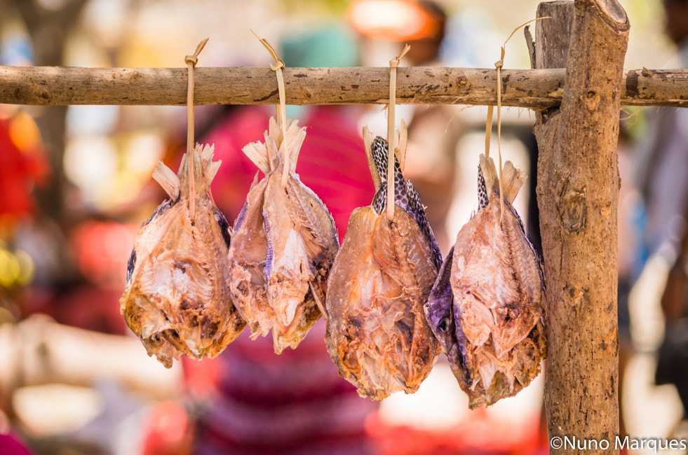 smc PENTAX-DA L 50-200mm F4-5.6 ED sample photo. Dry fish in atauro island, timor-leste photography