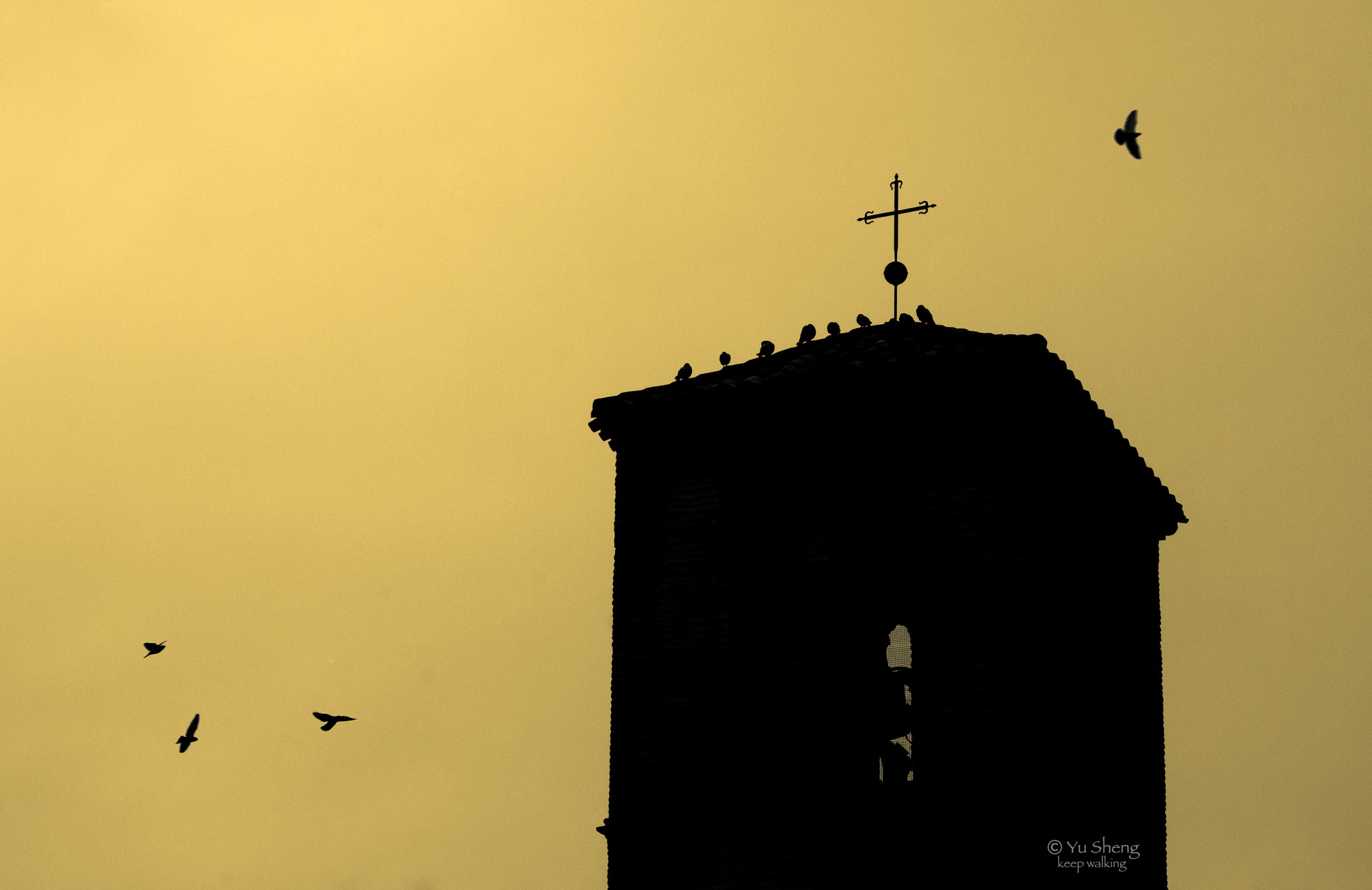 Pentax K10D + Pentax smc FA 77mm 1.8 Limited sample photo. Torledo photography