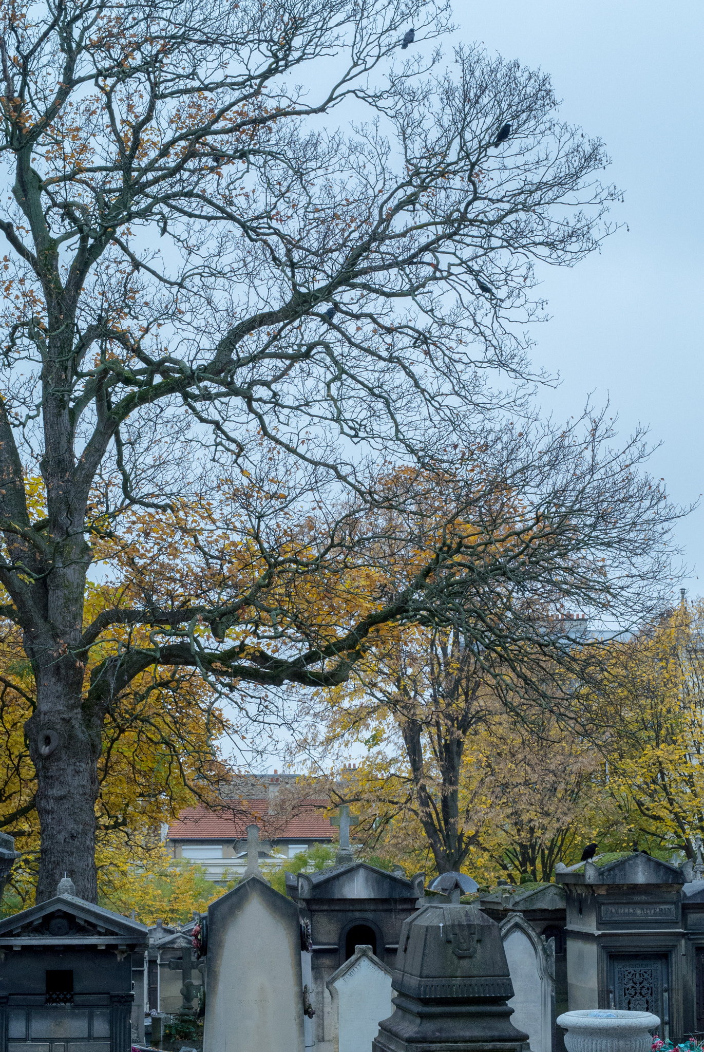 Nikon 1 V1 + Nikon 1 Nikkor 32mm F1.2 sample photo. Père lachaise cemetery photography