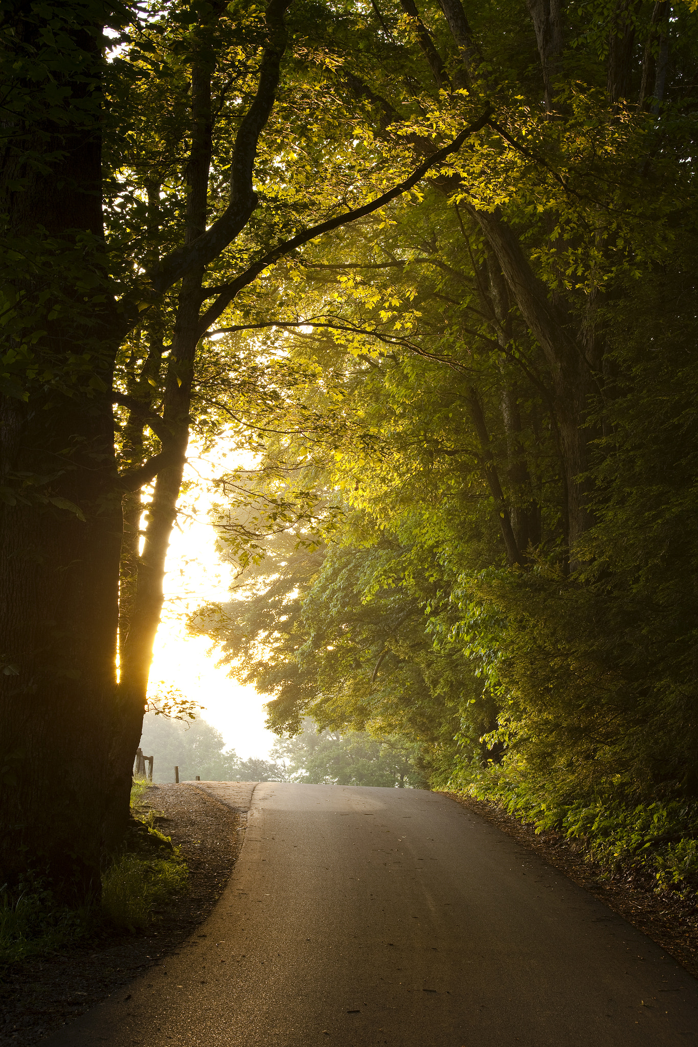 Canon EF 28-80mm f/3.5-5.6 USM sample photo. New beginnings photography