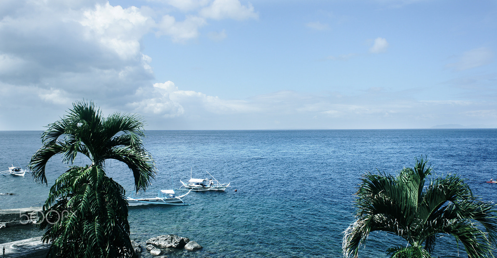 Sony NEX-5C sample photo. Sony dsc photography