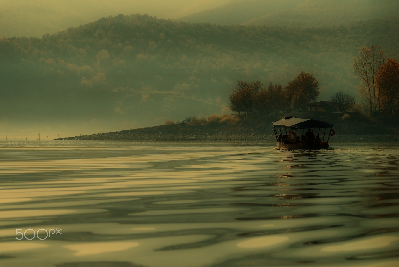 Sigma 120-400mm F4.5-5.6 DG OS HSM sample photo. Kerkini photography