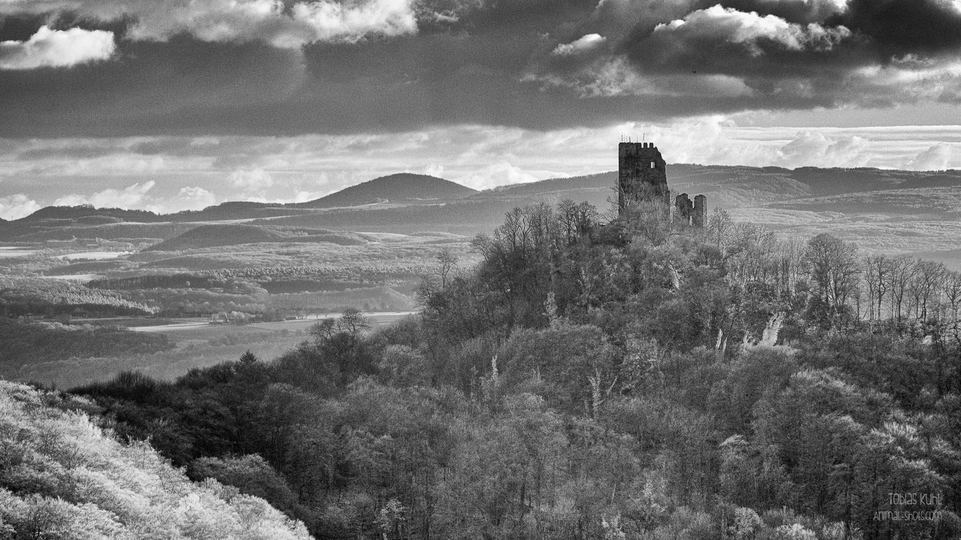 Canon EF 70-200mm F2.8L IS II USM sample photo. Drachenfels, germany photography