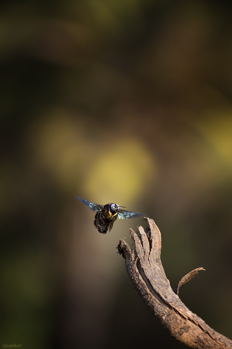 Canon EF 70-200mm F4L IS USM sample photo. ...incoming!!!... photography