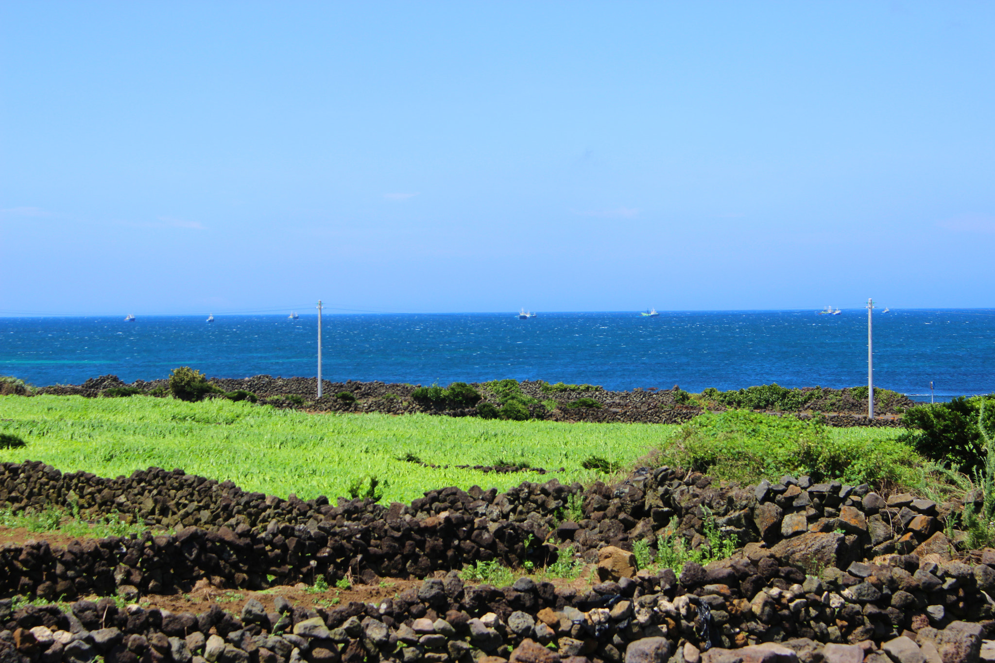 Canon EOS 600D (Rebel EOS T3i / EOS Kiss X5) sample photo. Green farm and blue sea photography