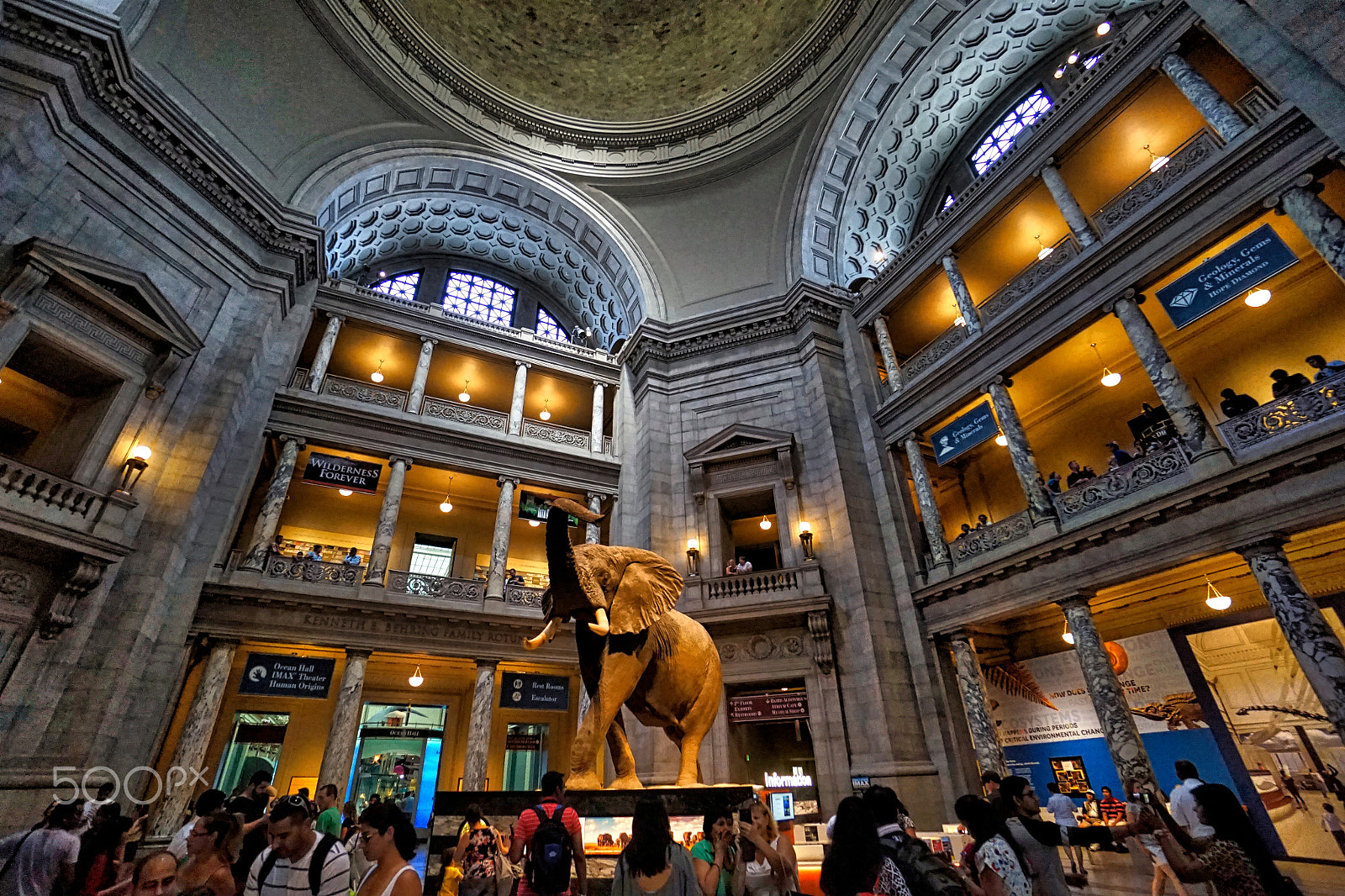 Sony a7R + Sony E 10-18mm F4 OSS sample photo. Smithsonian institution national museum of na.jpeg photography