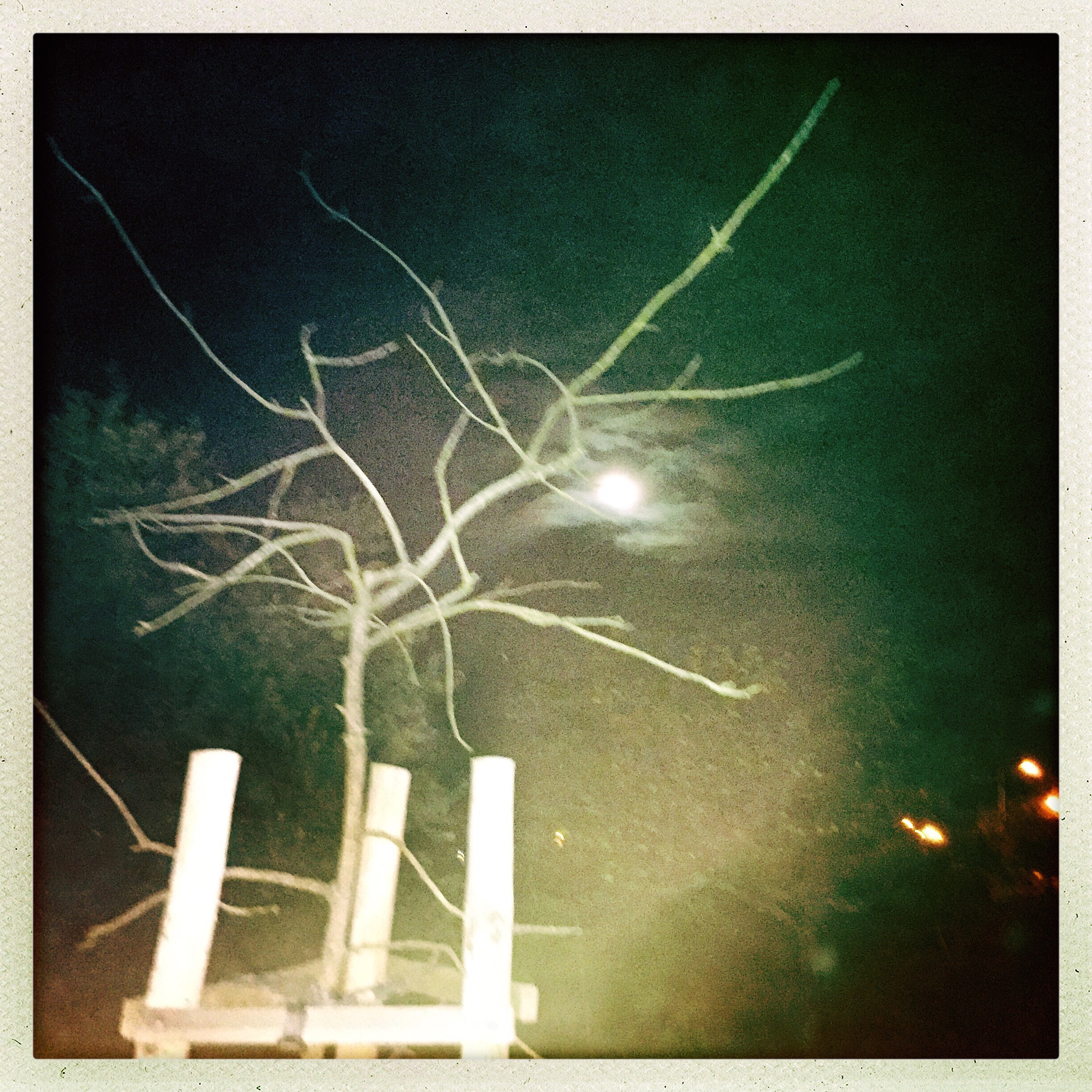 Hipstamatic 302 sample photo