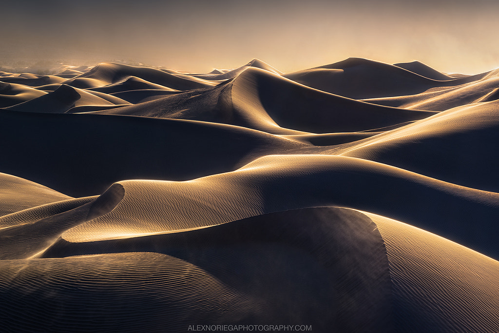 Ballad of Gales by Alex Noriega on 500px.com