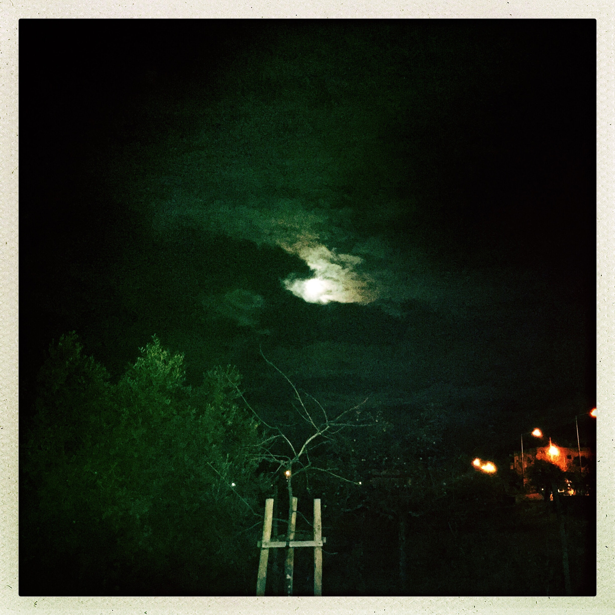 Hipstamatic 302 sample photo