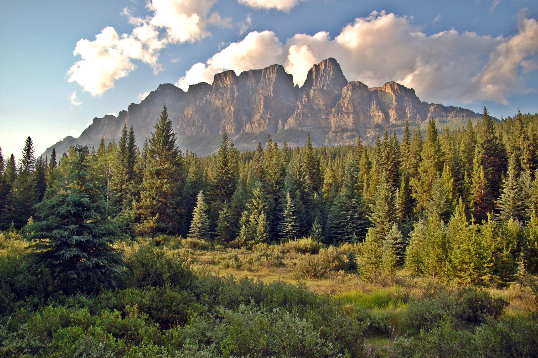 Nikon D50 + Sigma 18-50mm F3.5-5.6 DC sample photo. Castle mountain canada photography