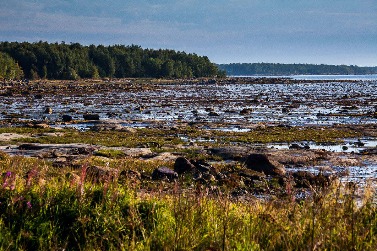 Canon EF 35-350mm F3.5-5.6L USM sample photo. Карелия web photography
