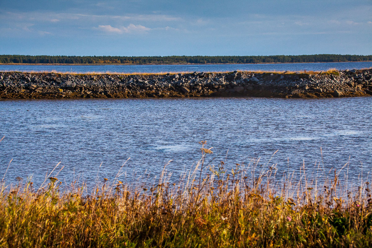 Canon EF 35-350mm F3.5-5.6L USM sample photo. Карелия web photography
