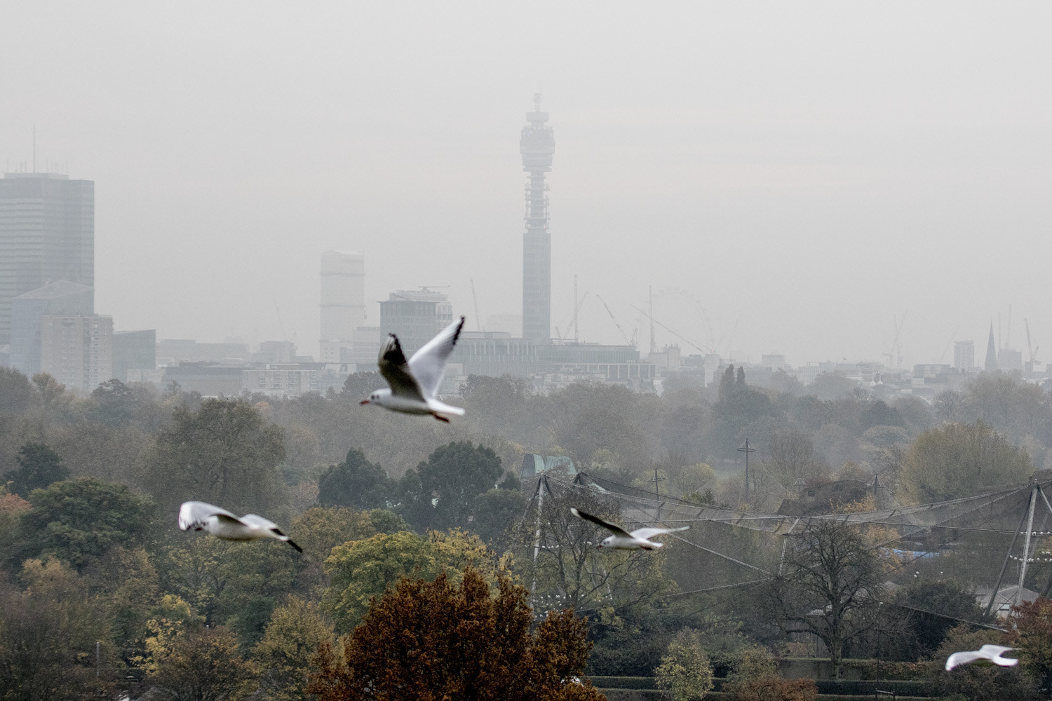 Canon EF 35-350mm F3.5-5.6L USM sample photo. Primrose hill photography