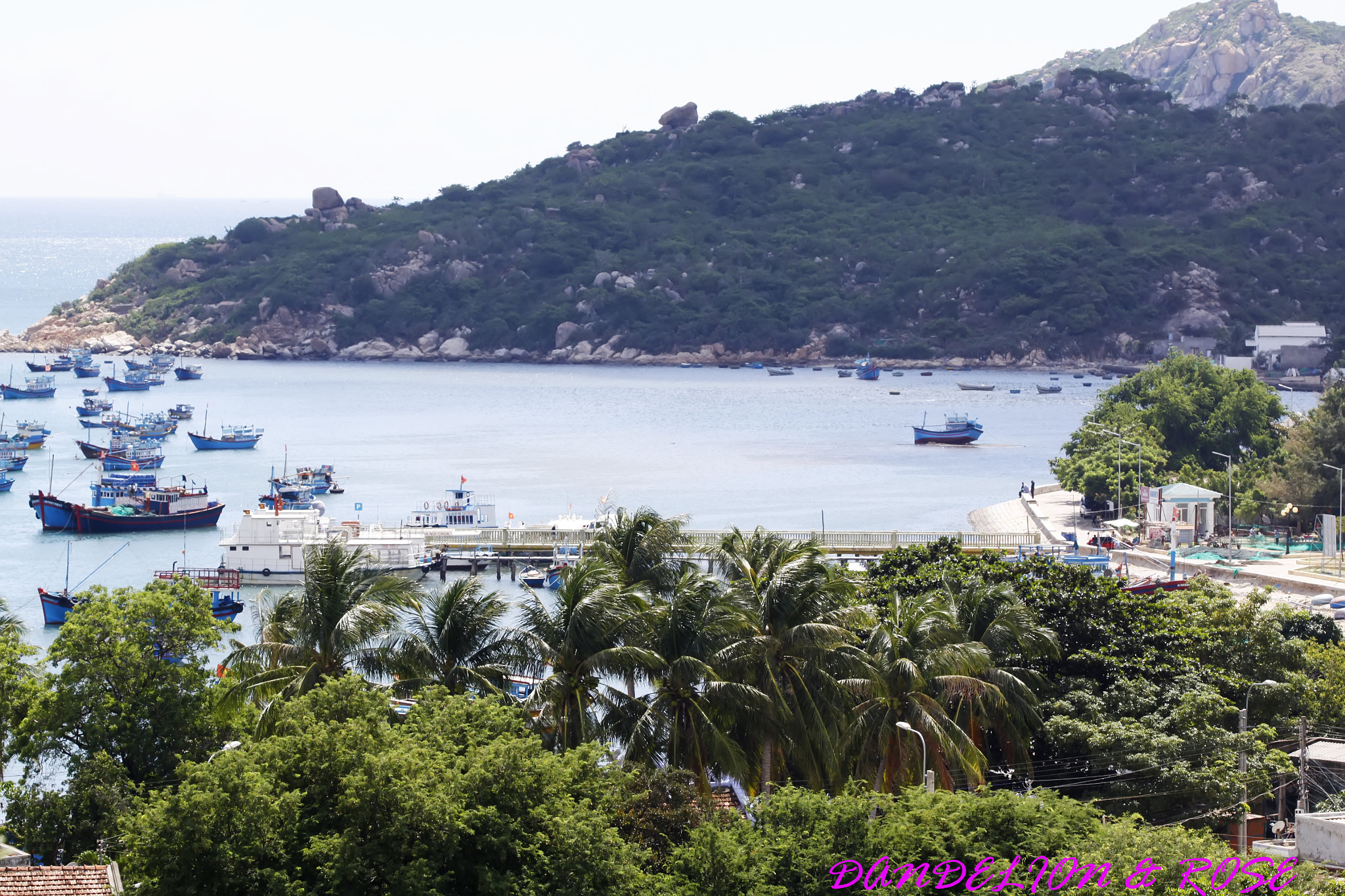 Canon EOS 50D + Canon EF 100mm F2.8 Macro USM sample photo. Vinh hy, binh tien - ninh thuan photography