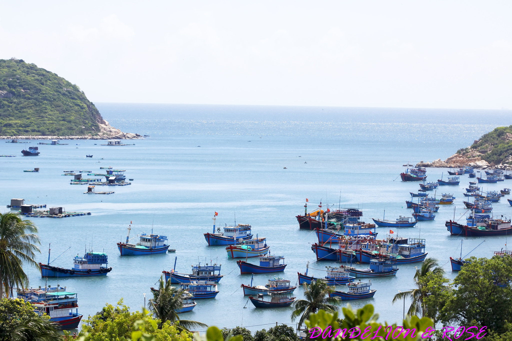 Canon EOS 50D + Canon EF 100mm F2.8 Macro USM sample photo. Vinh hy, binh tien - ninh thuan photography