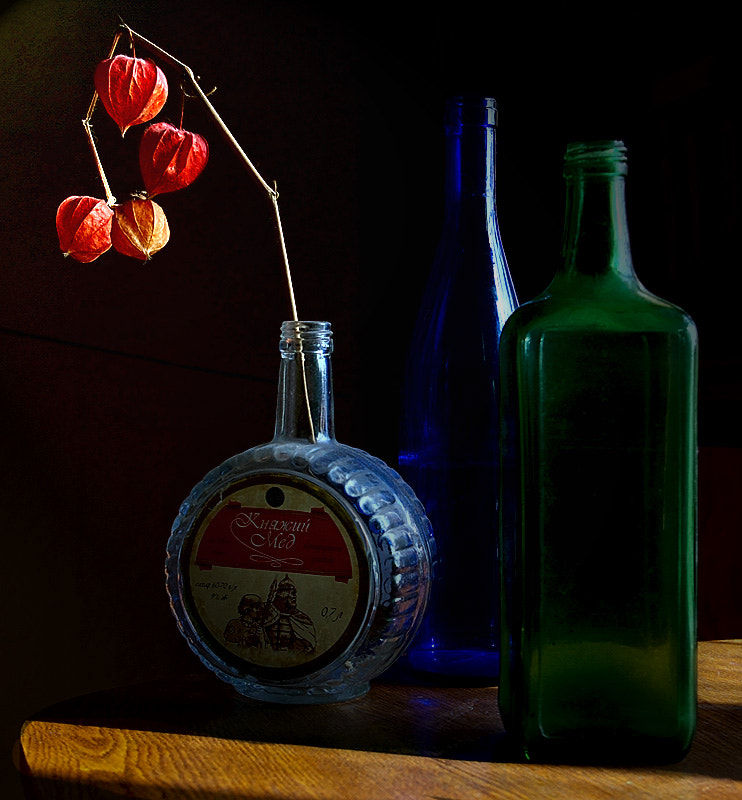 Pentax K110D sample photo. Bottles and physalis. photography
