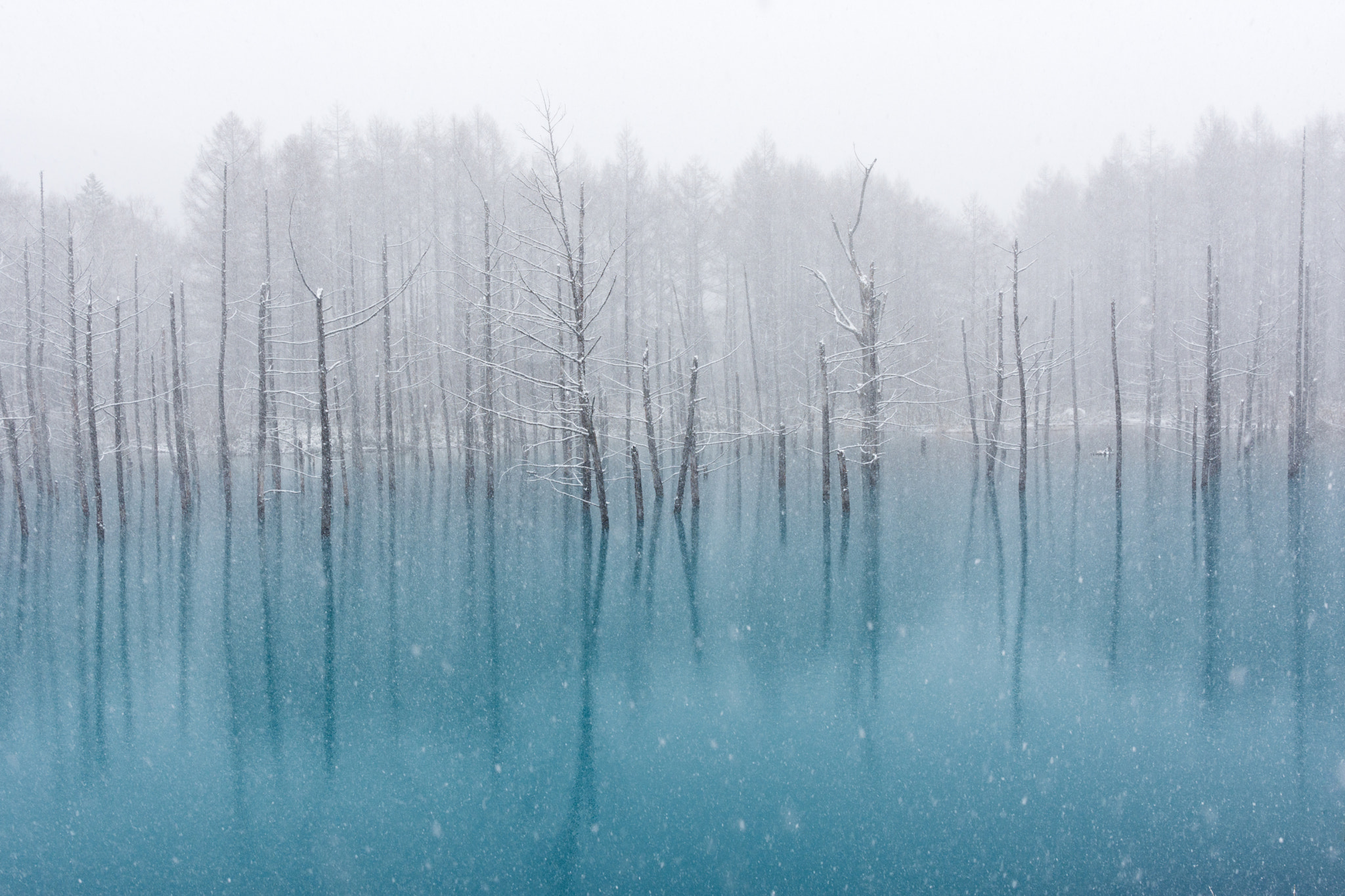 Nikon AF-S Nikkor 24-70mm F2.8E ED VR sample photo. Blue pond in snow photography