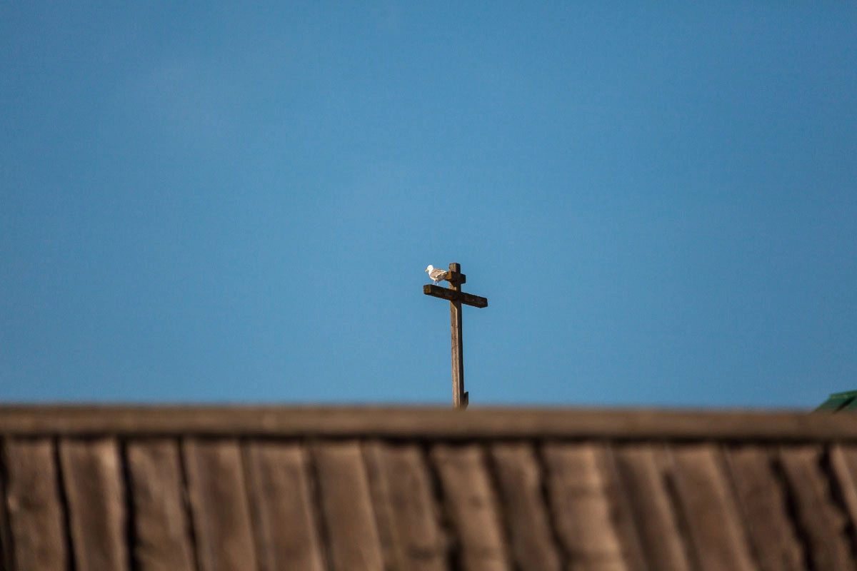 Canon EF 35-350mm F3.5-5.6L USM sample photo. Карелия photography
