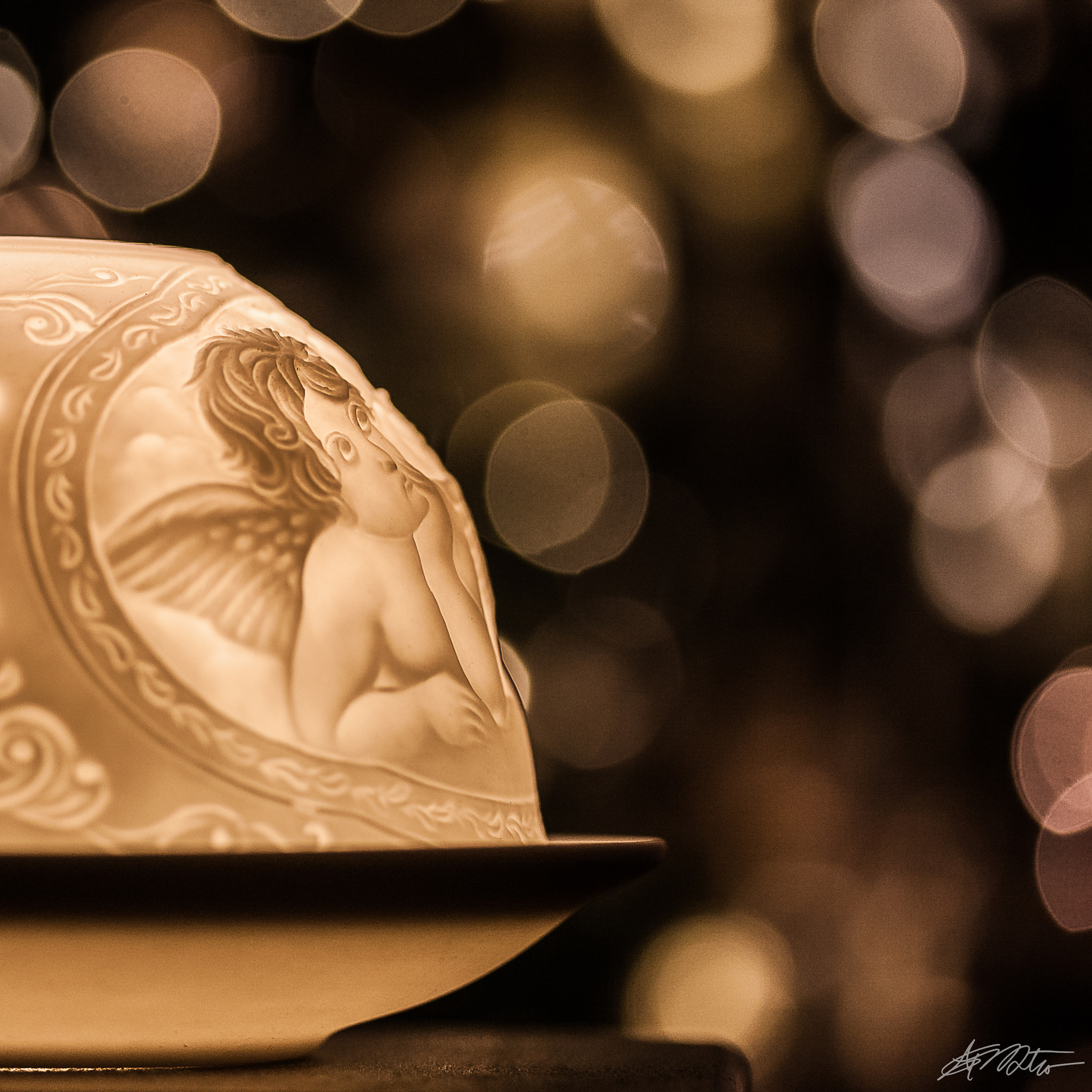 Canon EF-S 60mm F2.8 Macro USM sample photo. Looking up to the stars photography