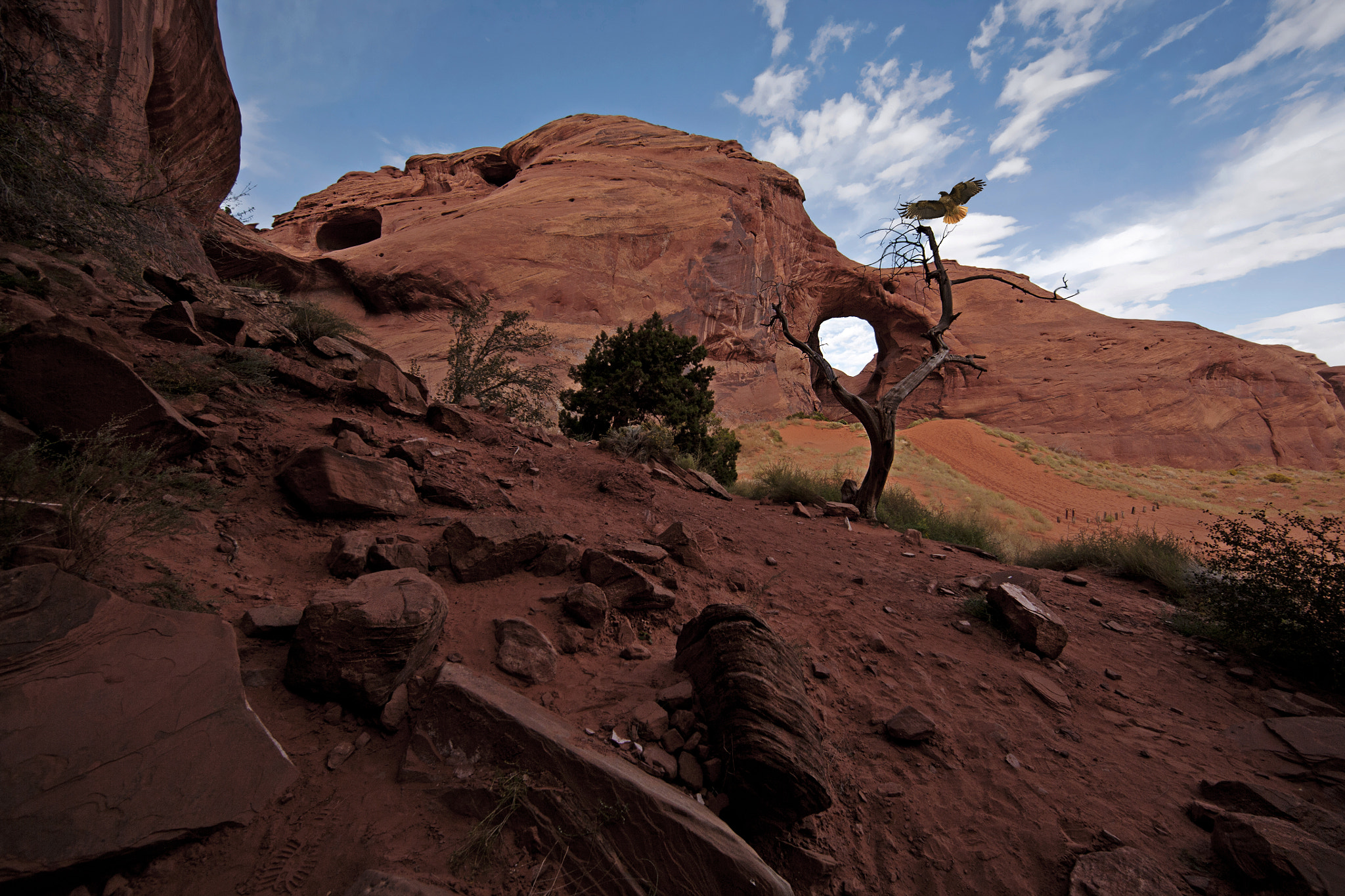Canon EF 14mm F2.8L II USM sample photo. Navajo spirit photography