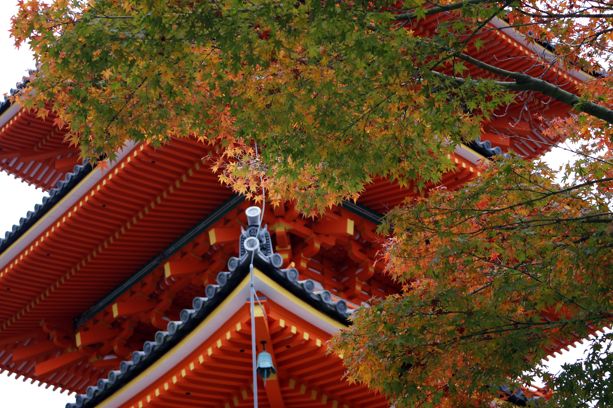 Canon EOS M2 sample photo. Kyoto kiyomizudera temple photography
