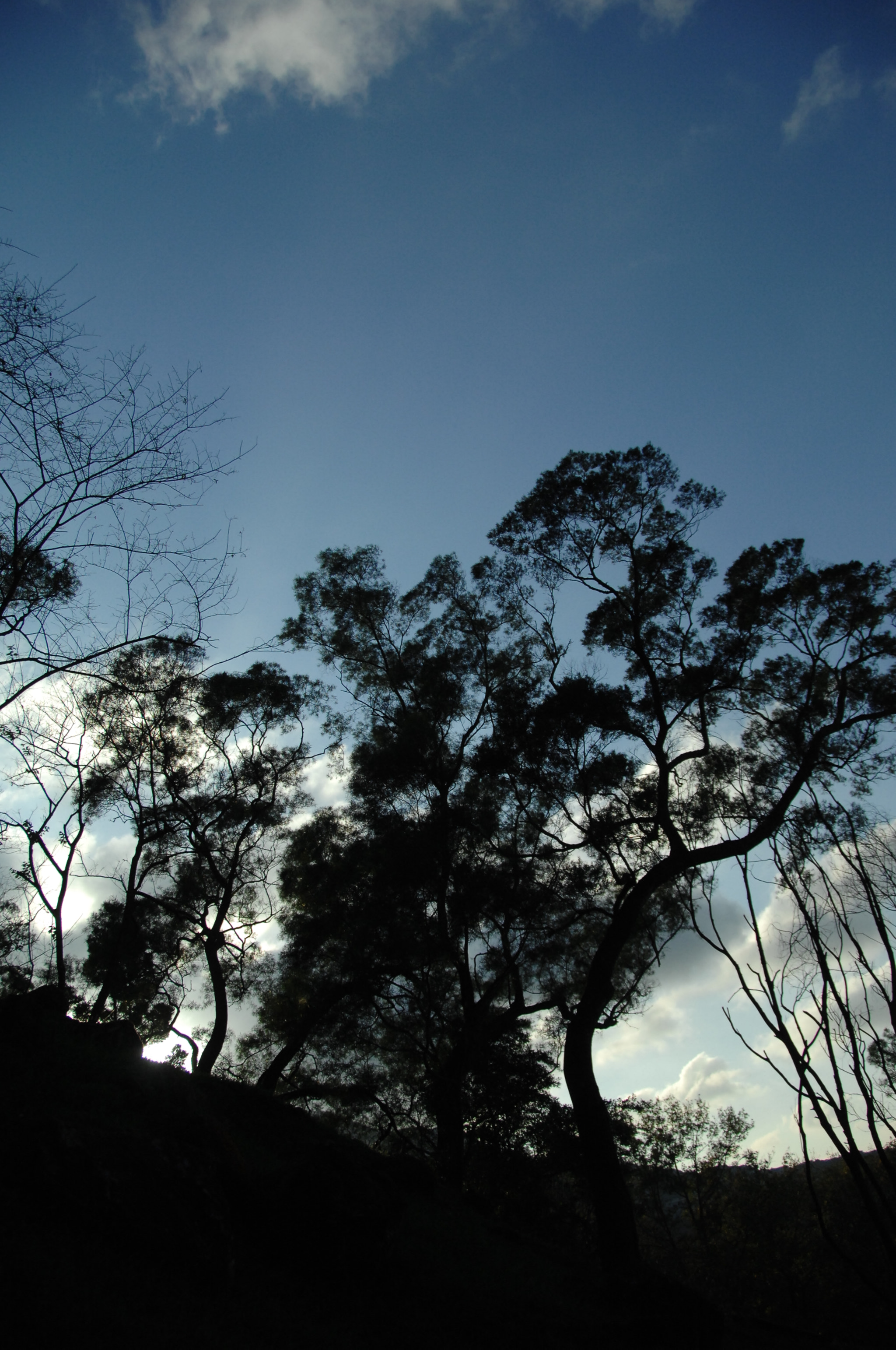 Nikon D2X sample photo. .. photography