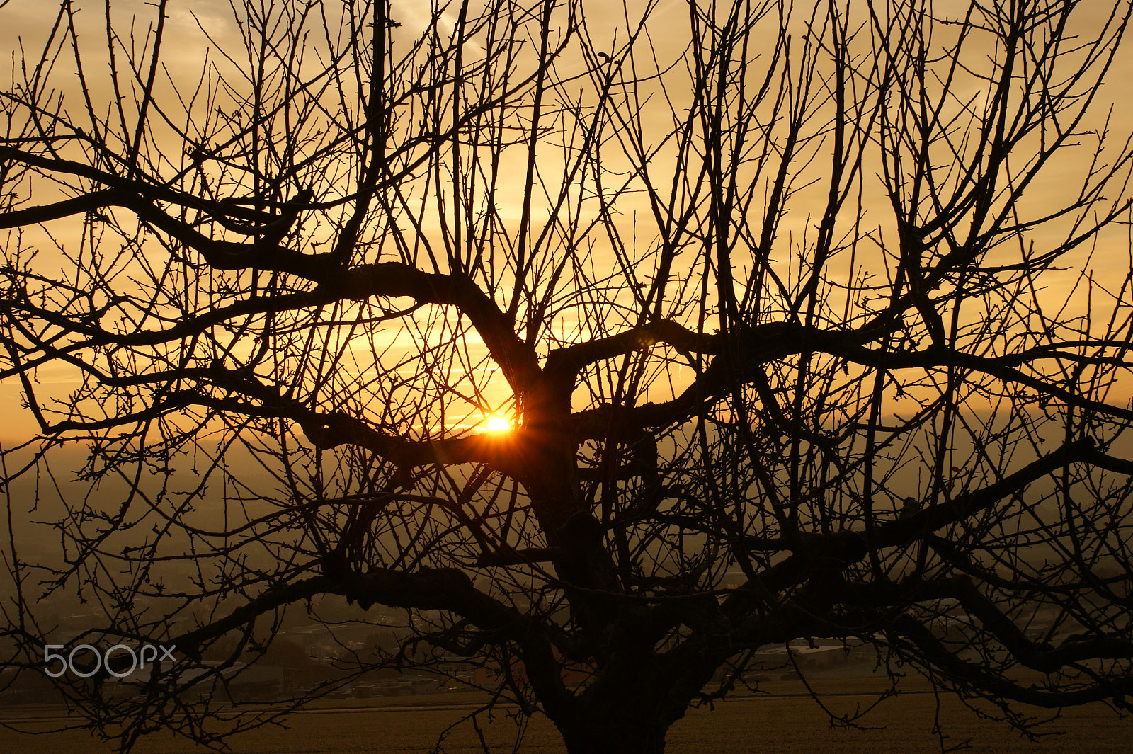 Sony Alpha DSLR-A290 + Sony DT 16-50mm F2.8 SSM sample photo. Sunrise 24th november 2015 taunus/germany photography