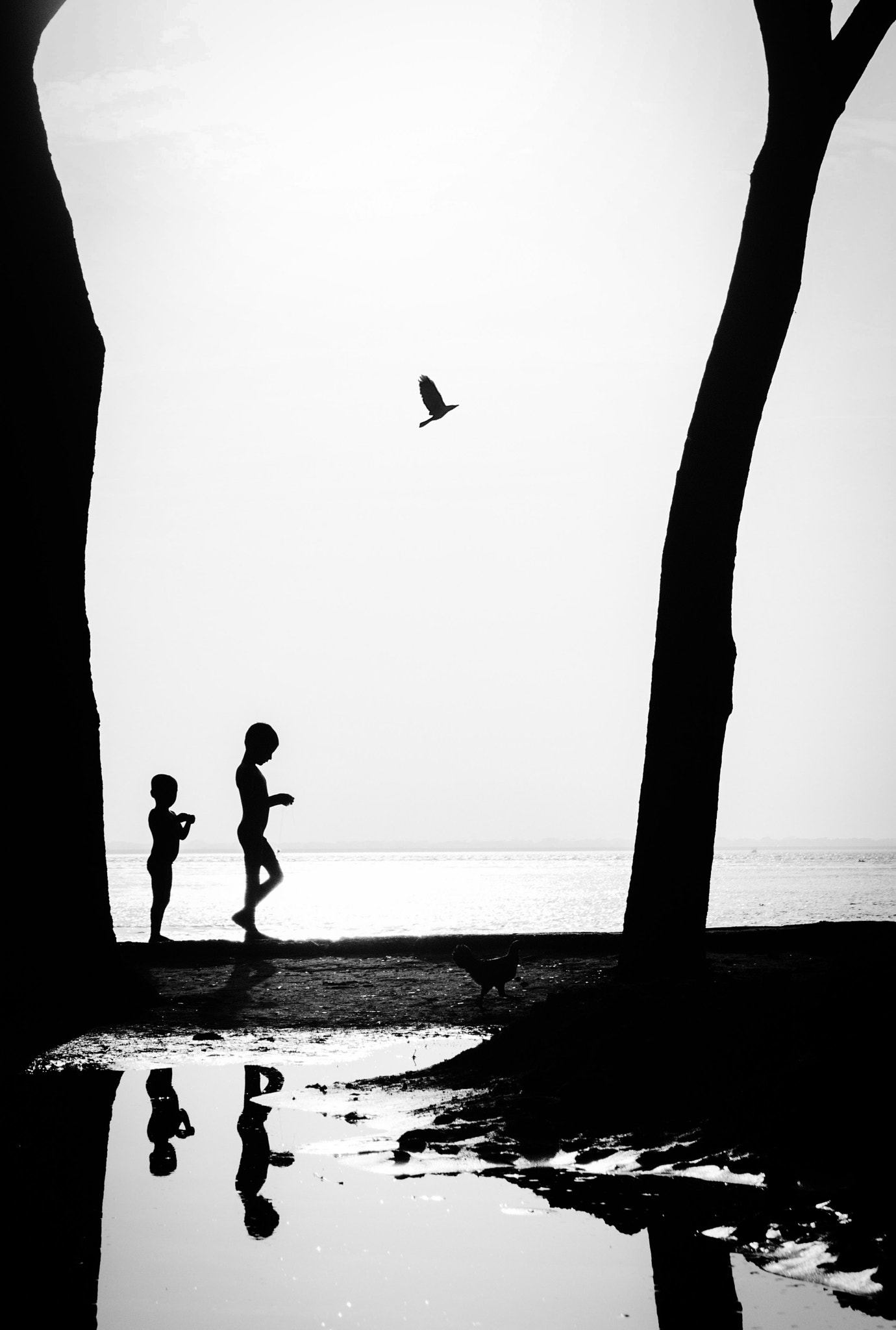 Canon EOS 700D (EOS Rebel T5i / EOS Kiss X7i) sample photo. Chandpur,2015 photography