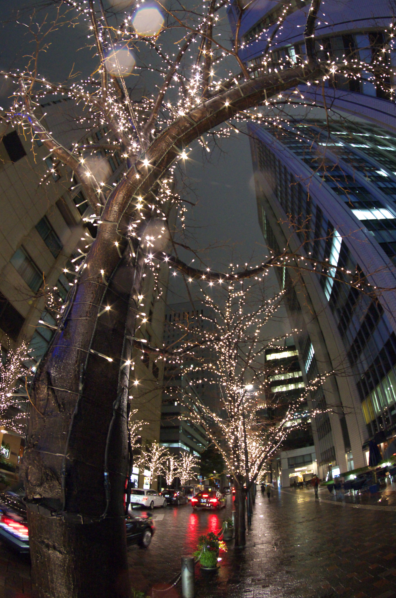 Pentax K-30 sample photo. ペニンシュラ３ photography