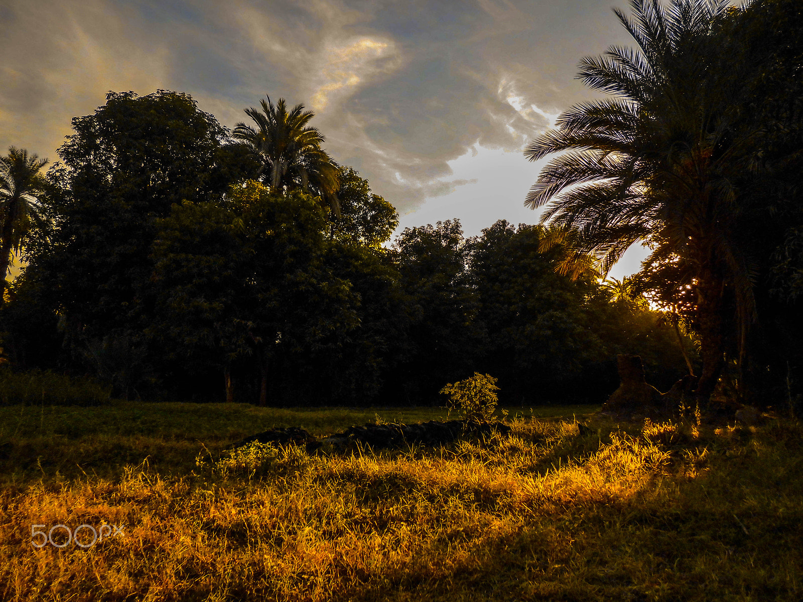 CASIO QV-R200 sample photo. Countryside in aswan photography