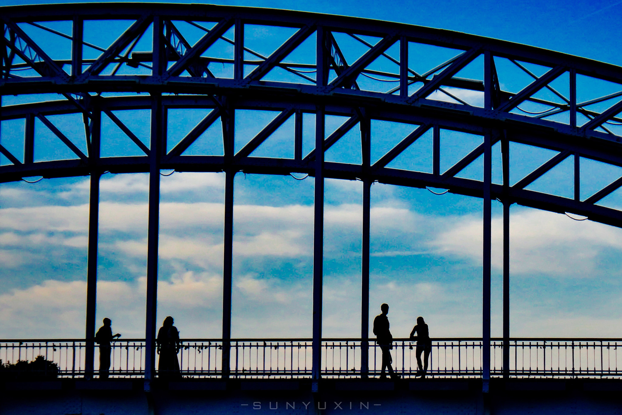 Sony DSC-T99DC sample photo. Paris | la seine photography