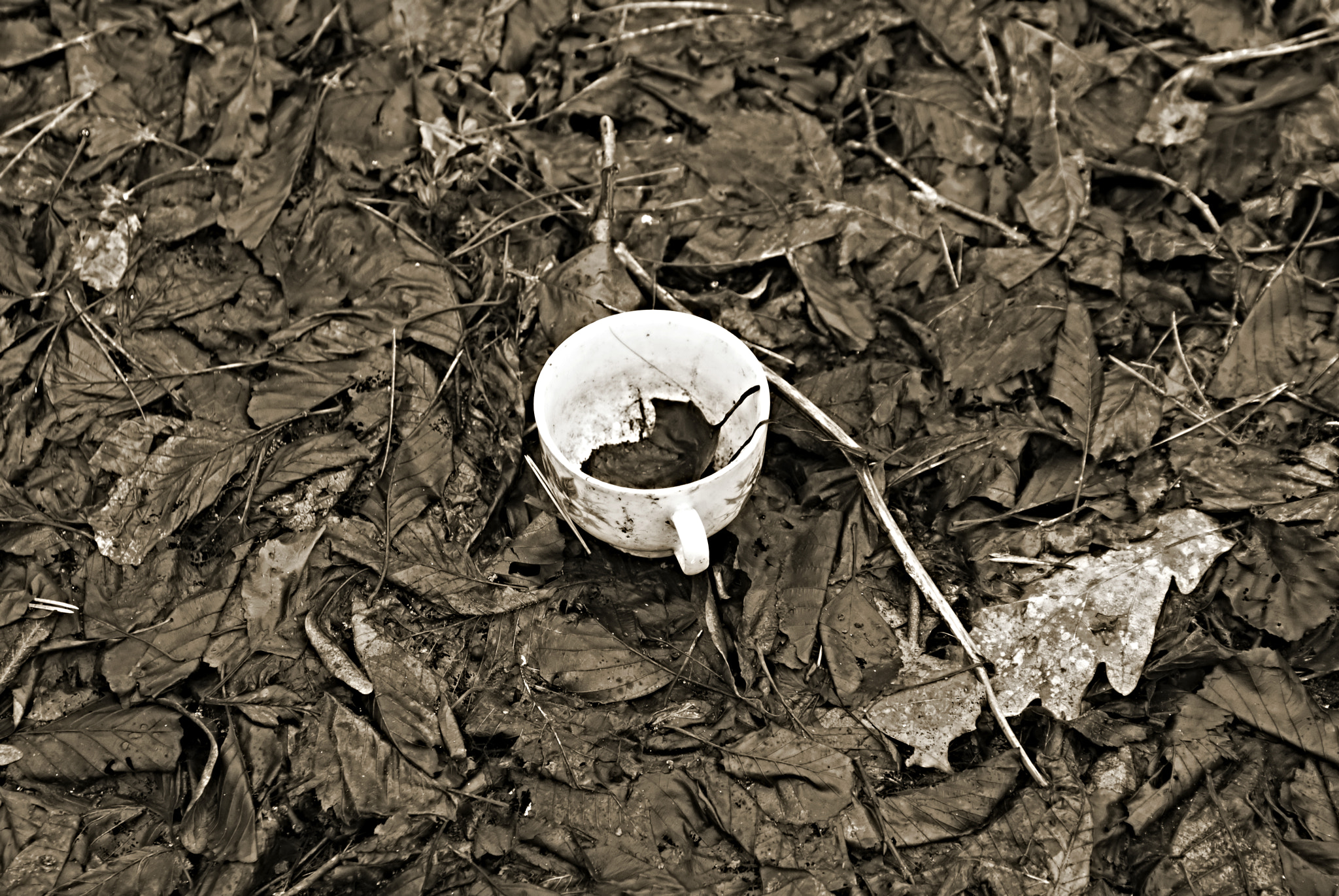 Nikon D200 sample photo. The serenity of mind photography