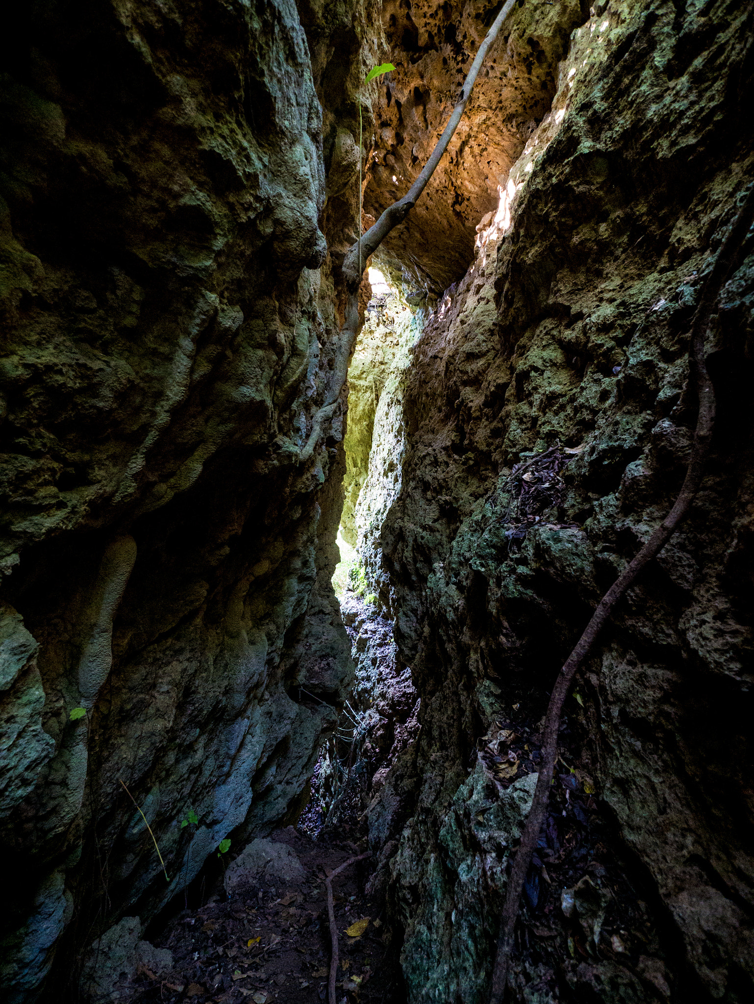 Panasonic Lumix DMC-G7 + Panasonic Lumix G Vario 7-14mm F4 ASPH sample photo. Cave trail photography