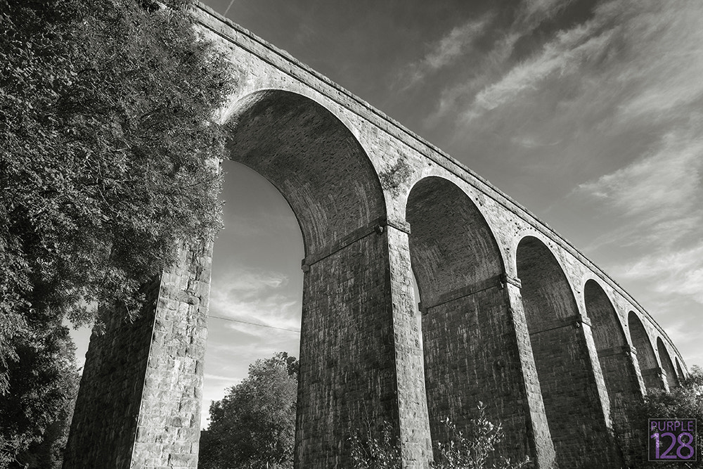 Canon EOS 1100D (EOS Rebel T3 / EOS Kiss X50) + Tamron SP AF 17-50mm F2.8 XR Di II VC LD Aspherical (IF) sample photo. Cefn coed railway viaduct photography