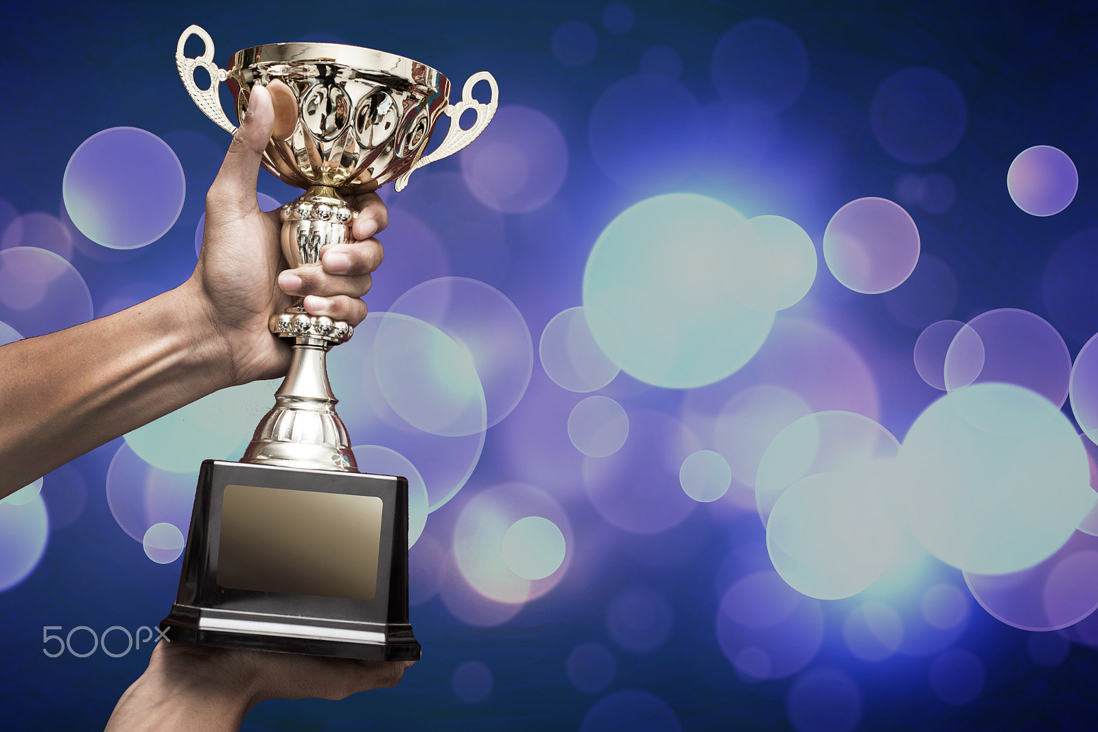 Canon EOS-1D Mark III sample photo. Hand holding up a gold trophy cup as a winner in a competition photography