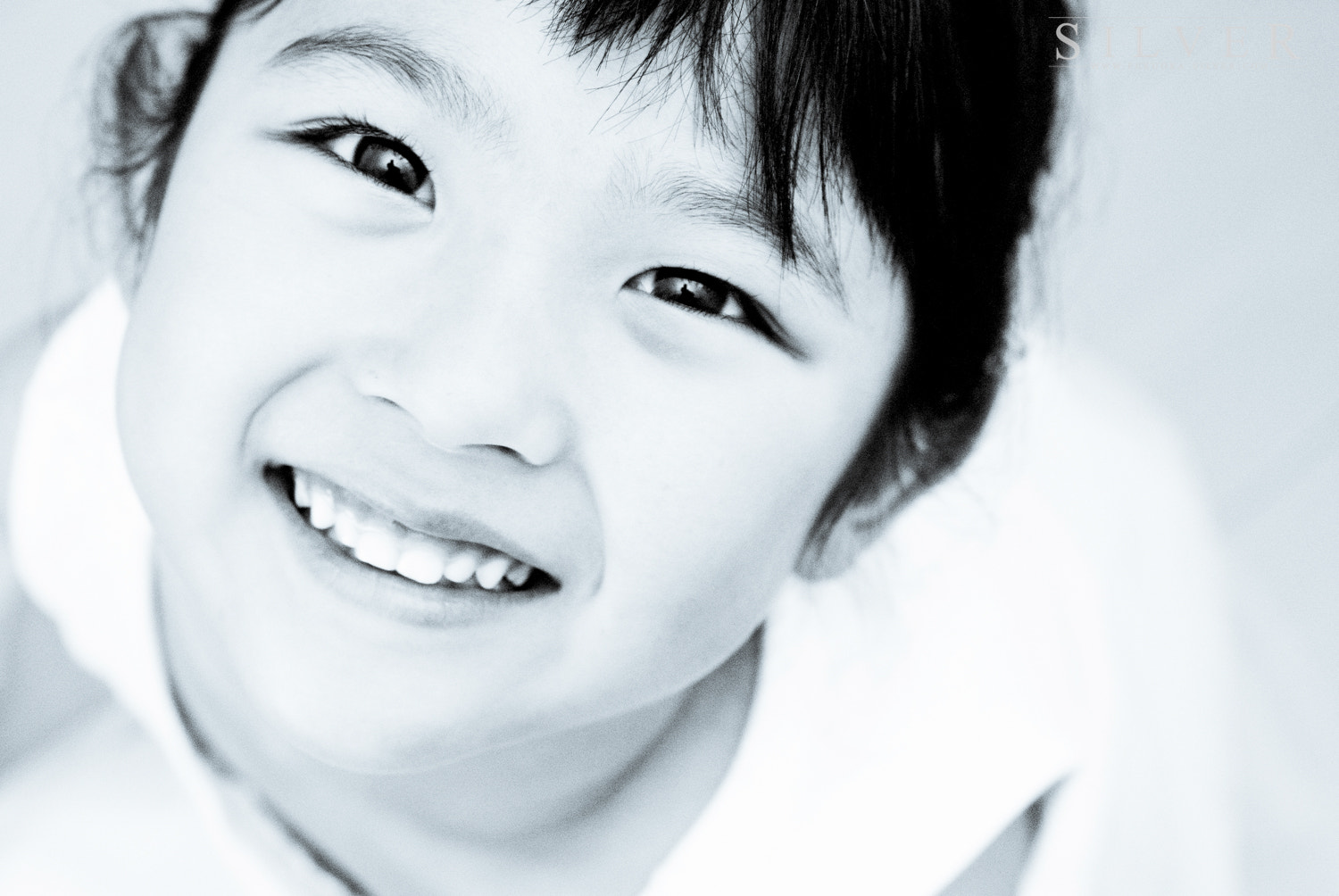 Nikon D200 + Sigma 50mm F2.8 EX DG Macro sample photo. Silver photography