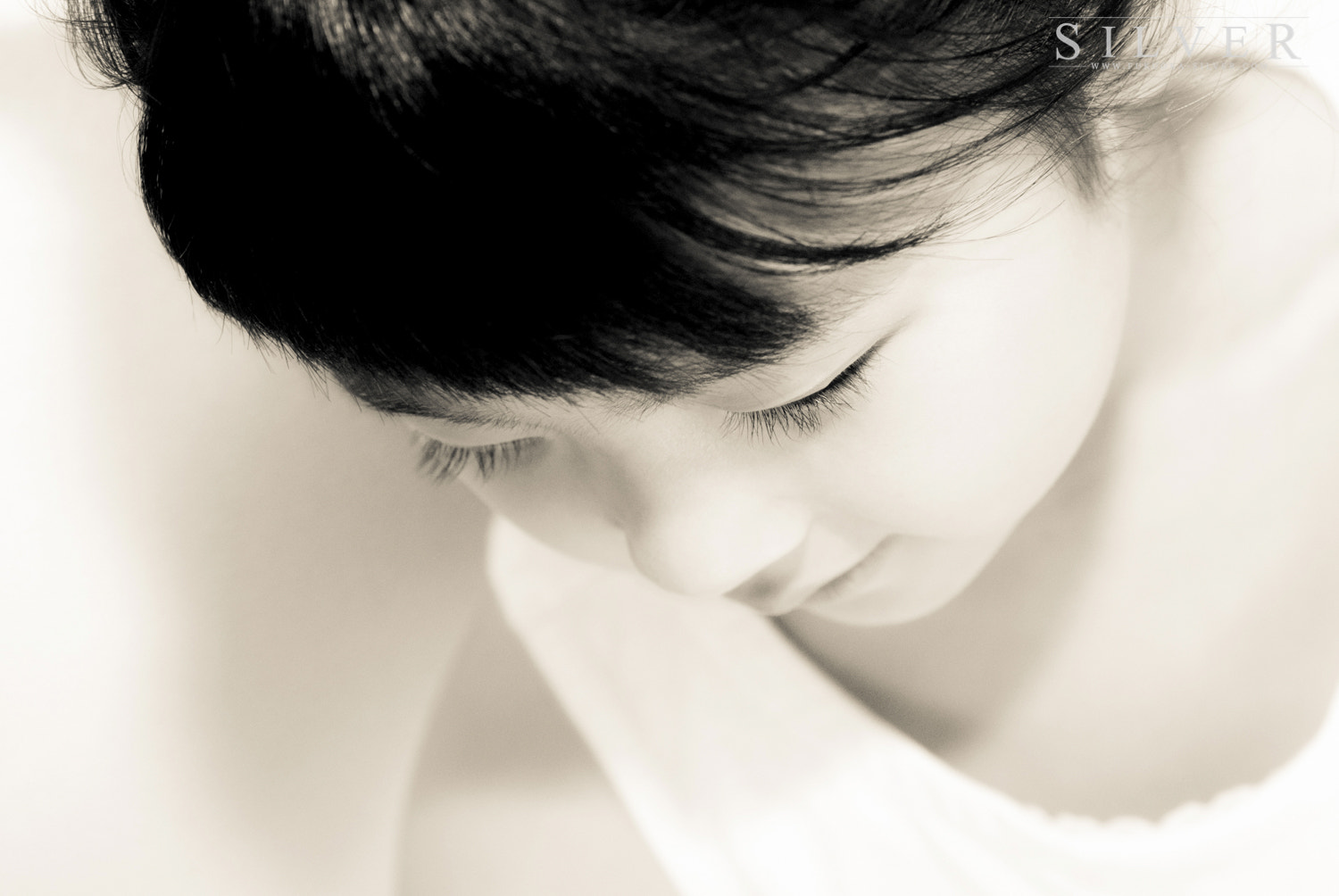 Nikon D200 + Sigma 50mm F2.8 EX DG Macro sample photo. Silver photography