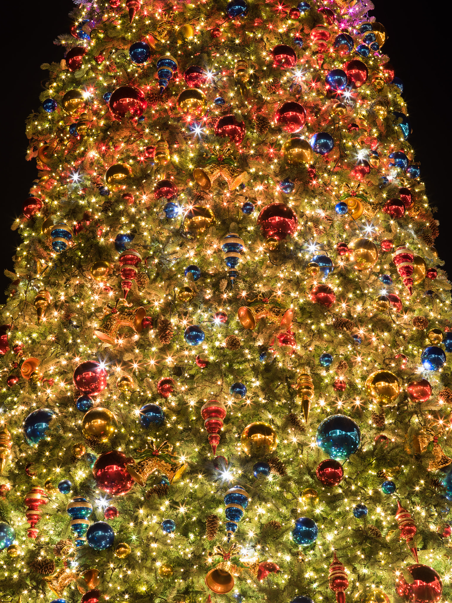 Pentax 645Z sample photo. Giant disney xmas tree photography