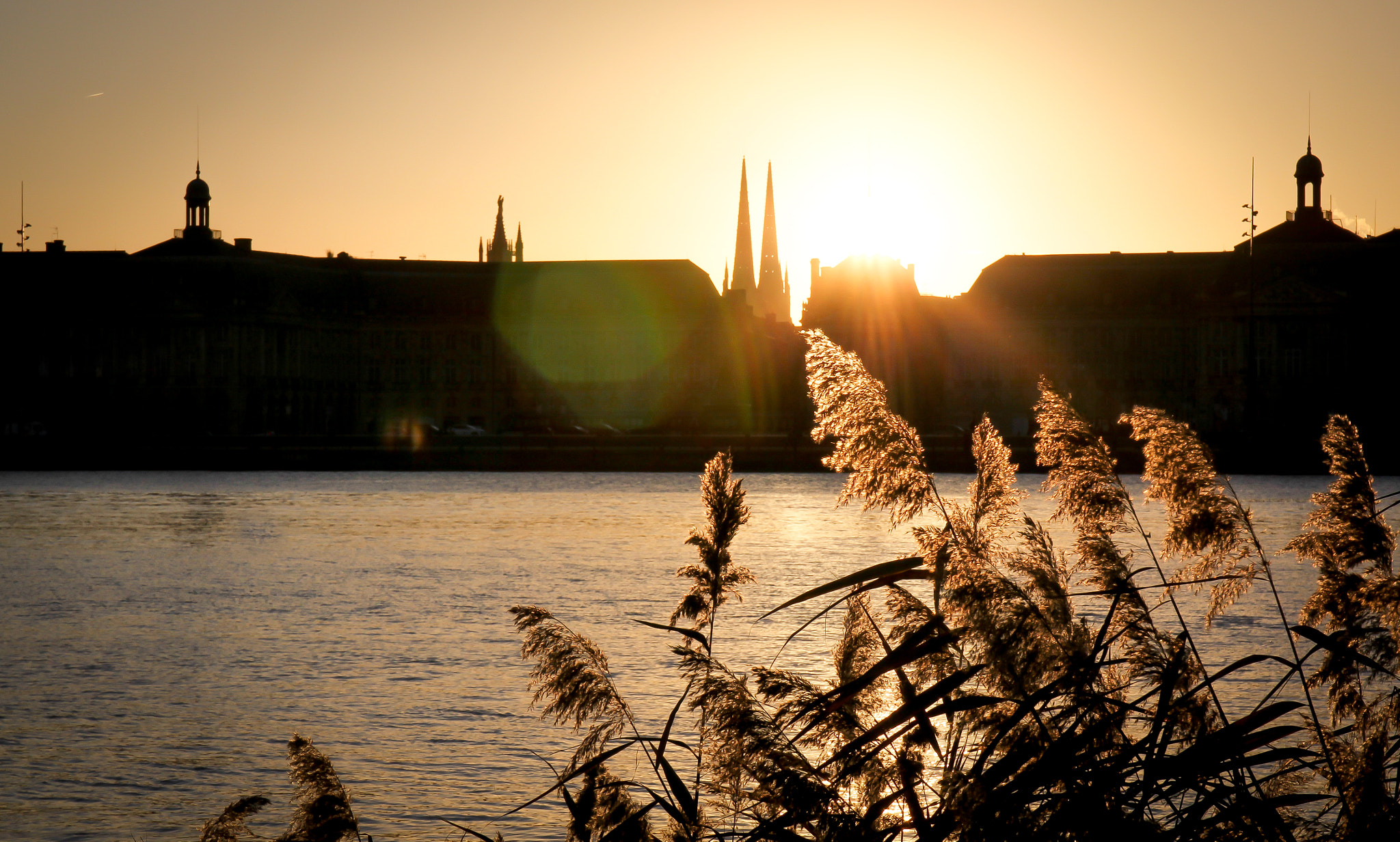 Canon EOS 60D + Canon EF 500mm F4L IS USM sample photo. Bordeaux - france photography