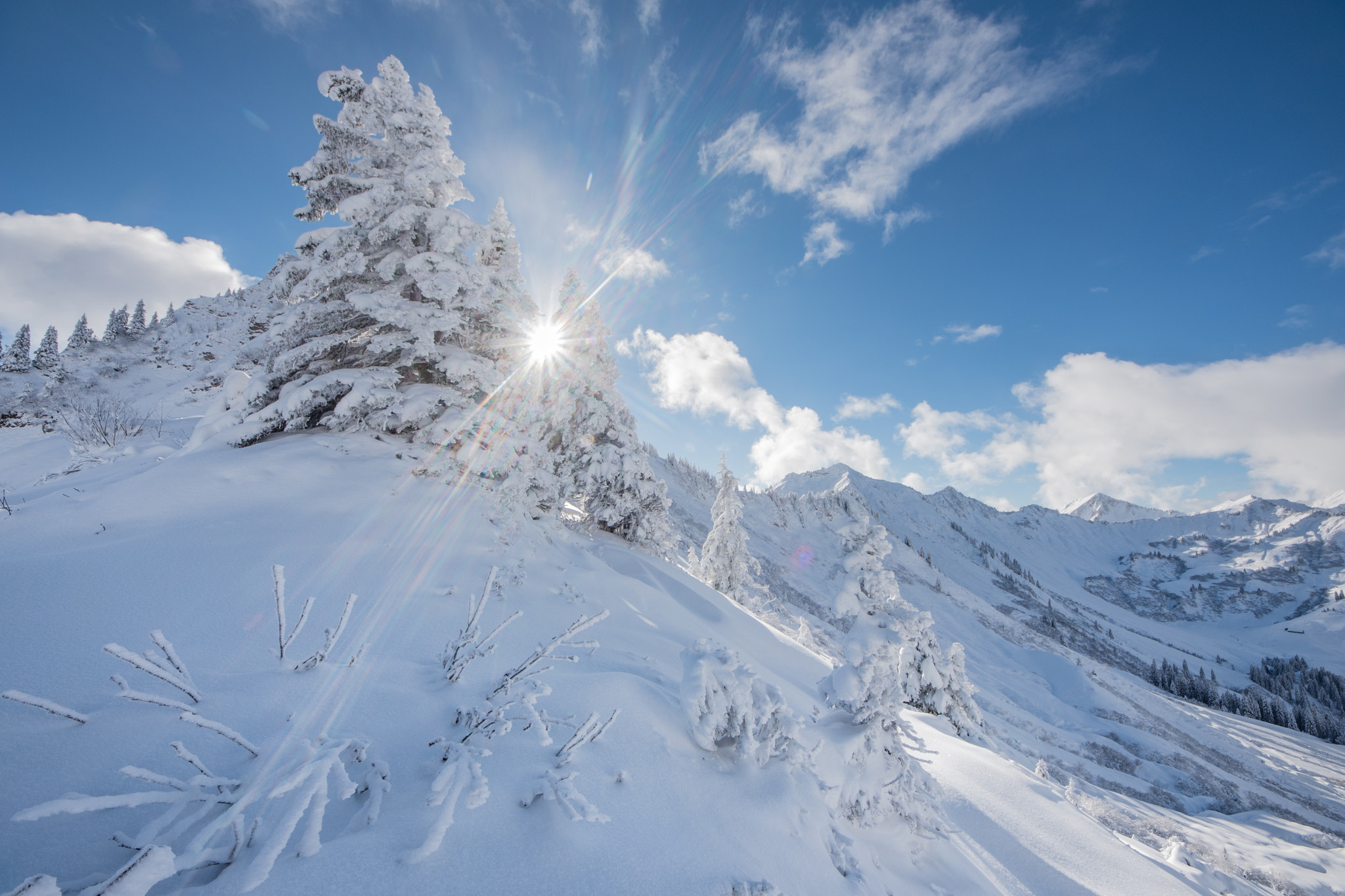 Sigma 8-16mm F4.5-5.6 DC HSM sample photo. Winterwonderland photography