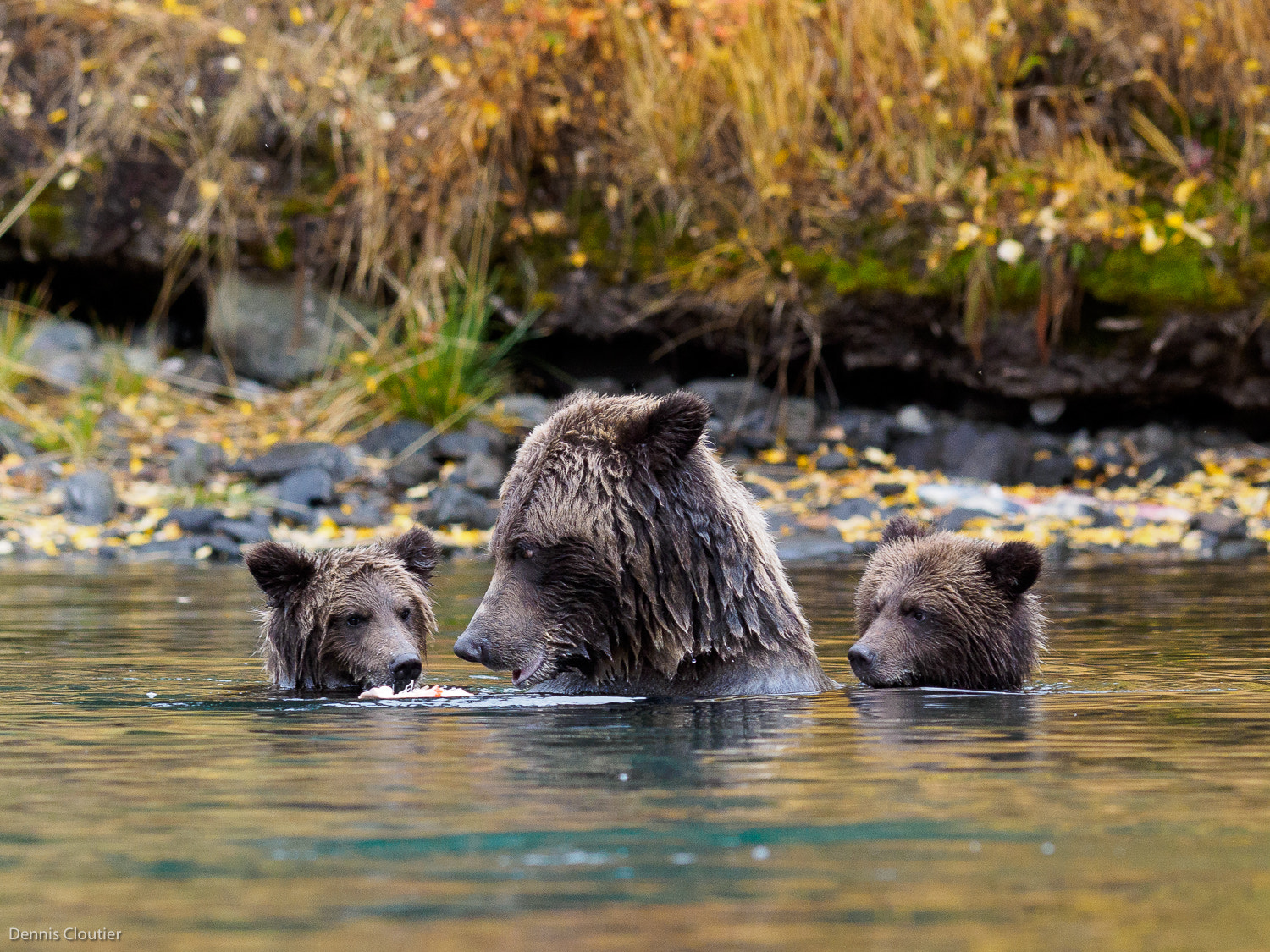 Olympus OM-D E-M1 + OLYMPUS 300mm Lens sample photo. Mom shares photography