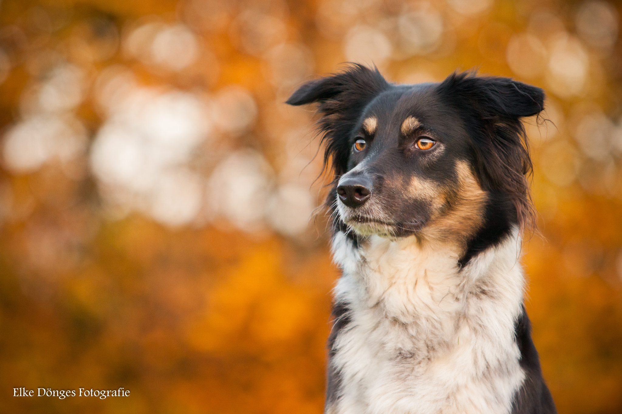 Canon EF 70-200mm F2.8L USM sample photo. Unser mädchen photography