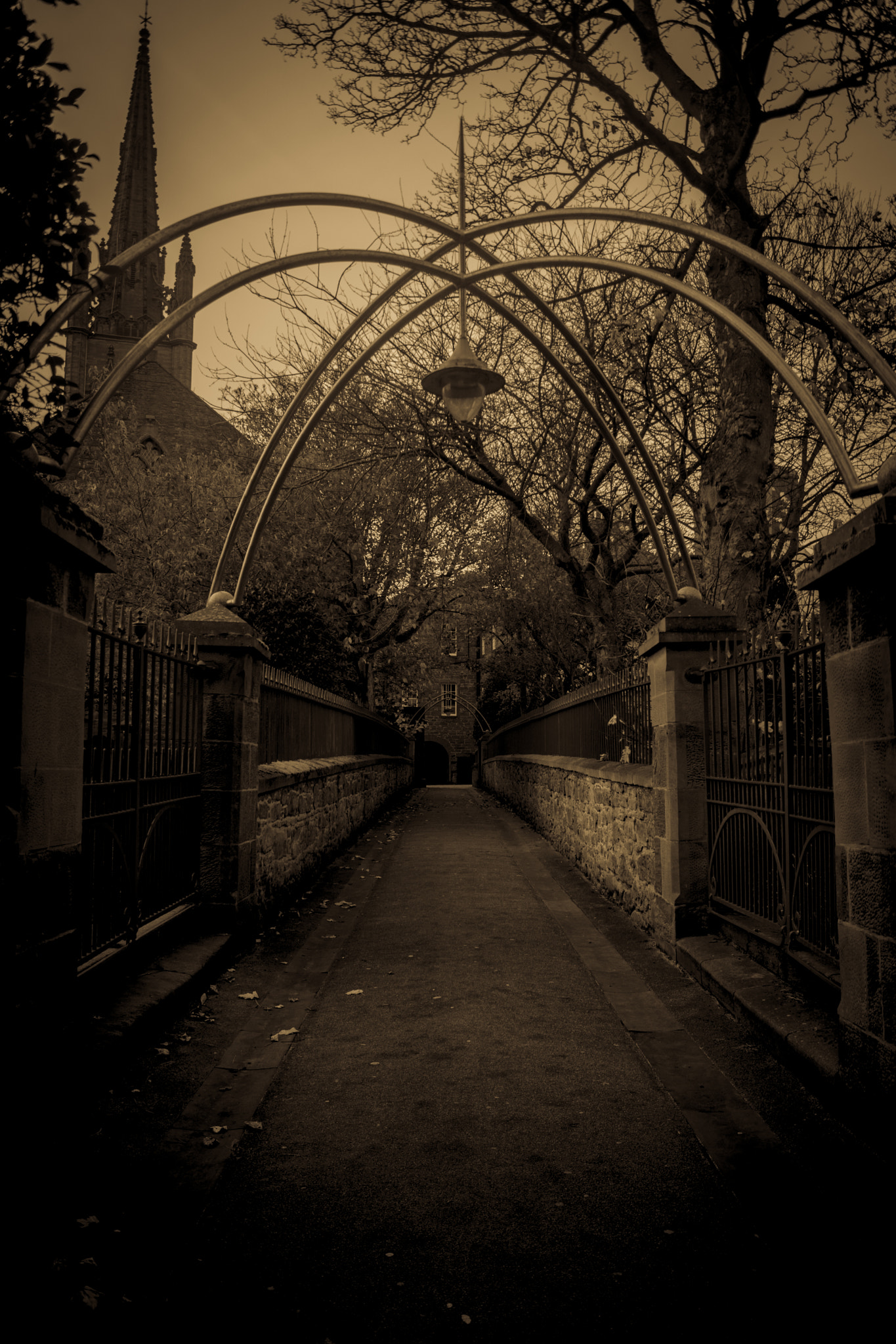 Sony ILCA-77M2 + Sony DT 18-55mm F3.5-5.6 SAM sample photo. `graveyard walk` photography