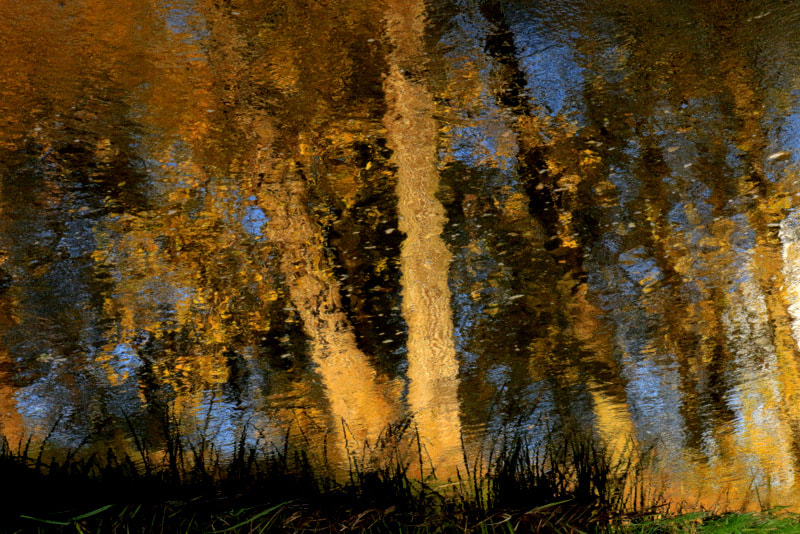 Canon EOS 70D + Canon EF 100mm F2.0 USM sample photo. Photoimpressionism photography