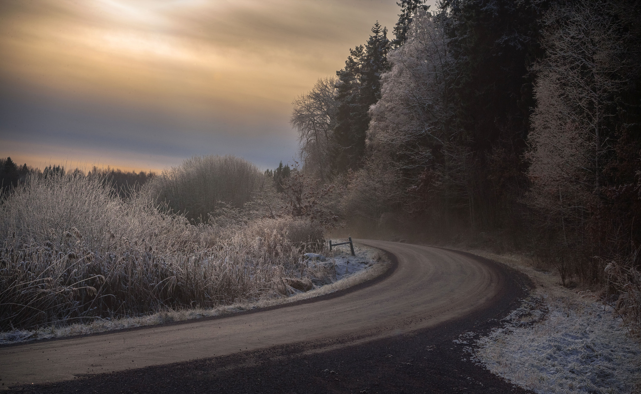 Canon EF 28-80mm f/2.8-4L sample photo. Frostbite 2 photography