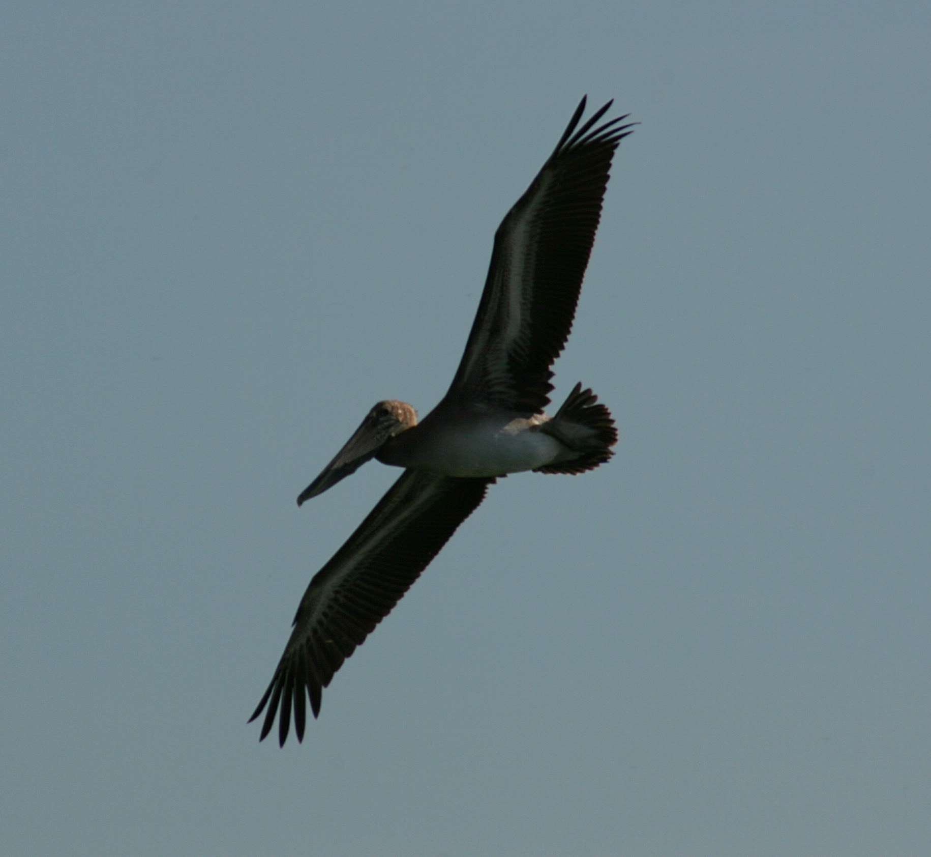 300mm f/4-5.6 USM sample photo