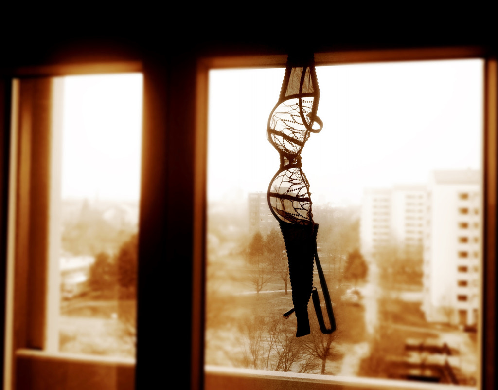 Trophy by Dimik Volkodav on 500px.com