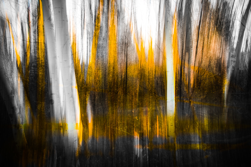 Pentax K-3 II sample photo. Burning aspen photography