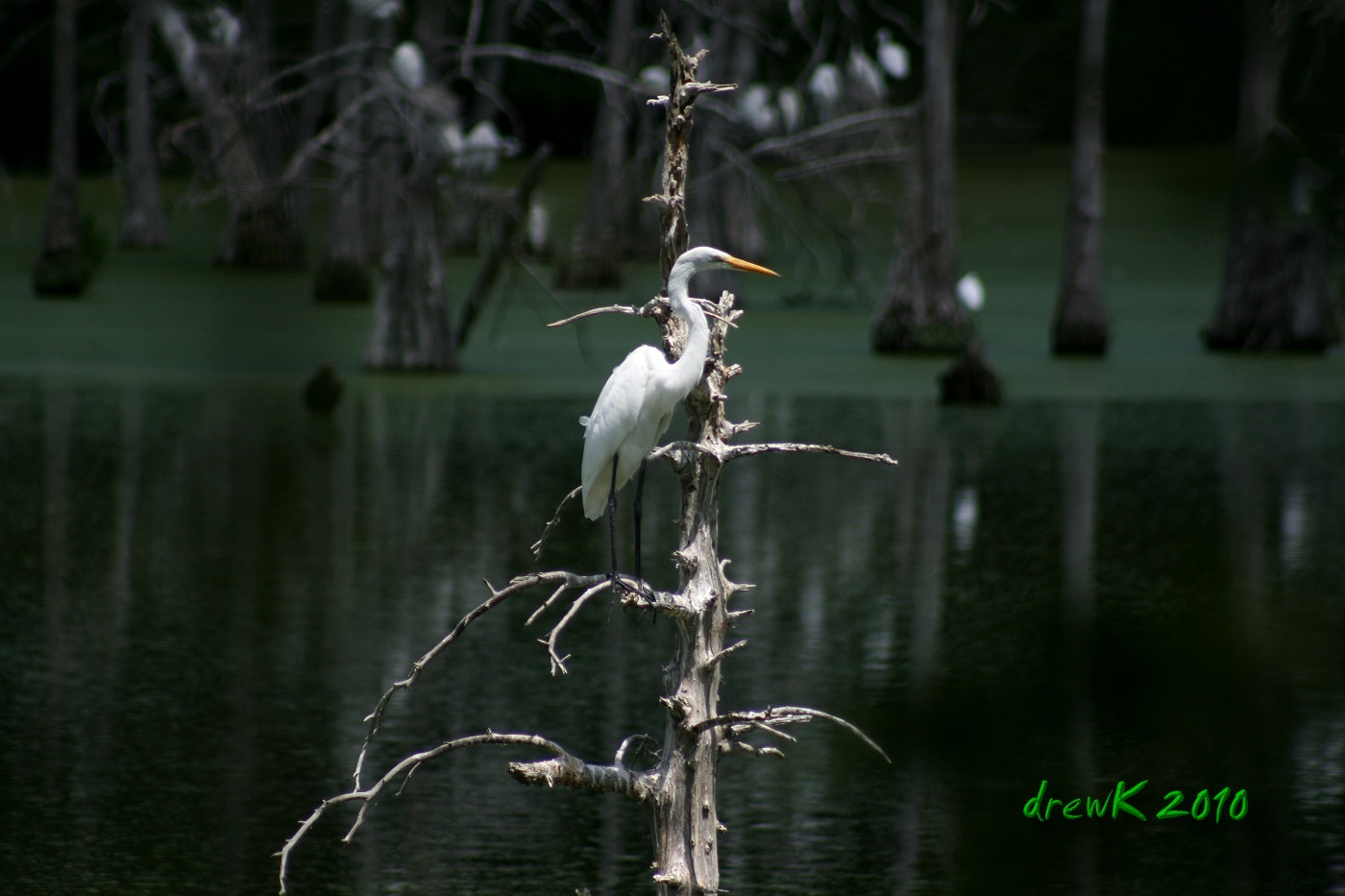 300mm f/4-5.6 USM sample photo