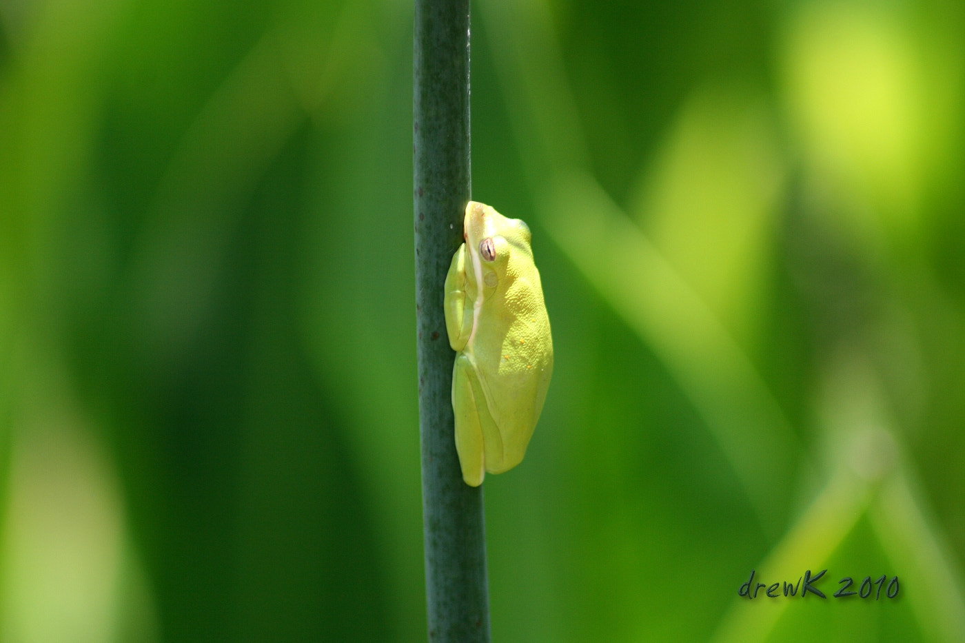 300mm f/4-5.6 USM sample photo. Wp photography